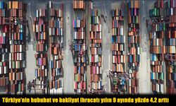 Türkiye’nin Hububat ve Bakliyat İhracatı Yüzde 4,2 Arttı