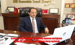 Erzincan’da Şap Aşısında Son Durum: Büyükbaşların Yüzde 96,82’si Koruma Altında