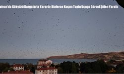 Tatvan’da Gökyüzü Kargalarla Karardı: Binlerce Kuşun Toplu Uçuşu Görsel Şölen Yarattı