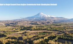 Iğdır’ın Doğal Cenneti İrem Bağları Sonbaharda Renk Cümbüşüne Büründü