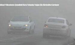 Hakkari Yüksekova-Şemdinli Kara Yolunda Yoğun Sis Sürücüleri Zorluyor