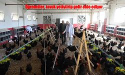 Çiftlik Gibi Okul: Öğrenciler Tavuk Yetiştirip Gelir Elde Ediyor