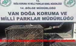 Kafes avcılığı yapan şahsa 53 bin TL ceza uygulanacak