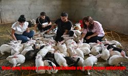 Vanlı Genç, Tavşan Çiftliğiyle Fark Yaratıyor