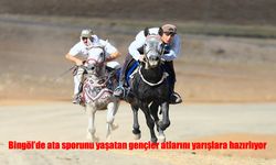 Bingöl’de Gençler Ata Sporunu Yaşatıyor: Atlar Yarışlara Hazırlanıyor