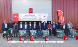 Bingöl'de ceviz yetiştiriciliğinde yeni bir dönem başladı