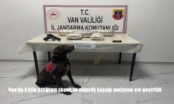 Van'da 4 kilo 311 gram skunk ve gümrük kaçağı malzeme ele geçirildi