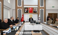 Erzurum'da yangınlarda yüzde 45 arttı