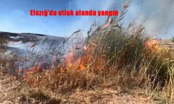 Elazığ'da otluk alanda yangın