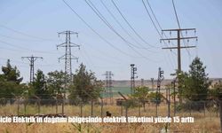 Dicle Elektrik Bölgesinde Tüketim Rekor Kırdı: Yüzde 15 Artış Yaşandı