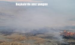 Başkale'de anız yangını