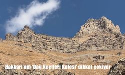 Hakkari'nin 'Dağ Keçileri Kalesi' dikkat çekiyor