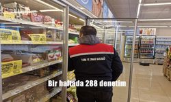 Bir haftada 288 denetim