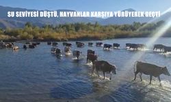 Karasu Nehri’nde Su Seviyesi Düştü