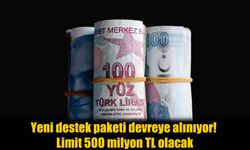Yeni destek paketi devreye alınıyor! Limit 500 milyon TL olacak