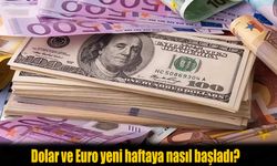 Döviz Kurları Yeni Haftaya Temkinli Başladı