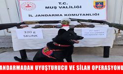 Varto’da çok sayıda silah ve uyuşturucu ele geçirildi