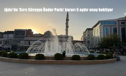 Iğdır'da 'Sırrı Süreyya Önder Parkı' kararı 5 aydır onay bekliyor