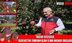 Muş’ta elma hasadı törenle başladı: 100 milyon TL gelir bekleniyor