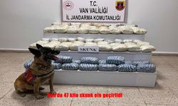 Van'da 47 kilo skunk ele geçirildi