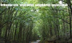 Yeşil Vatan İçin Tarihi Adım: Ormanları Koruma ve Fidan Seferberliği Başlıyor!