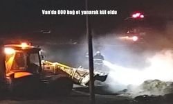 Van'da 800 bağ ot yanarak kül oldu