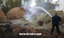 Van'da bin bağ ot yandı