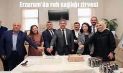 Erzurum'da ruh sağlığı zirvesi