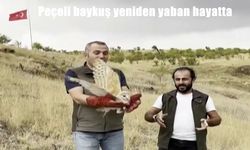 Erzurum’da Tedavisi Tamamlanan Peçeli Baykuş Yeniden Doğaya Salındı
