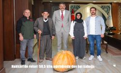 Hakkâri’de Rekor Kırıldı: 50,5 Kiloluk Dev Bal Kabağı Hasat Edildi