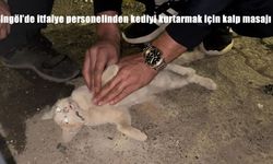 Bingöl’de itfaiye personelinden kediyi kurtarmak için kalp masajı