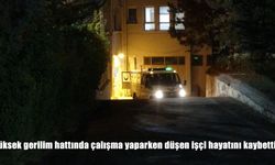 Yüksek gerilim hattında çalışma yaparken düşen işçi hayatını kaybetti