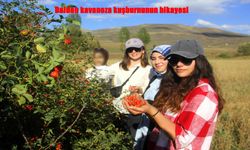 Daldan Kavanoza: Erzincan’ın C Vitamini Deposu Kuşburnusu