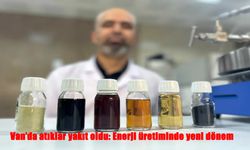 Van'da Atıklardan Enerji: Biyokütleyle Yeni Yakıt Dönemi