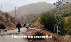 Çatak’ta yola kaya parçaları düştü