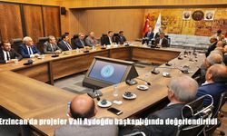 Erzincan’da projeler Vali Aydoğdu başkanlığında değerlendirildi