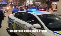 Yüksekova'da bıçaklı kavga: 1 yaralı
