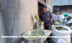 Doğanın hediyesi: 120 bitkiden oluşan zetrin baharatı yeniden keşfediliyor