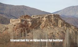 Erzurum'daki Kız ve Oğlan Kalesi ilgi bekliyor