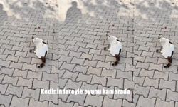 Kedinin fareyle oyunu kamerada