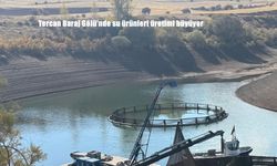 Tercan Baraj Gölü’nde su ürünleri üretimi büyüyor