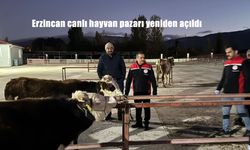 Erzincan canlı hayvan pazarı yeniden açıldı
