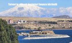 Tatvan'ın yüksek kesimleri beyaza büründü