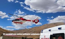 60 yaşındaki kalp hastası helikopter ambulansla Van’a sevk edildi