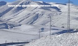 Taşlıçay'da kar yağışıyla Gündoğdu köyü beyaza büründü