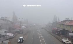 Ağrı'da sis etkili oldu