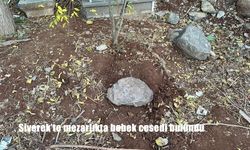 Siverek’te mezarlıkta bebek cesedi bulundu