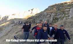Van Kalesi’nden düşen kişi ağır yaralandı