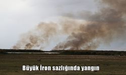 Muş ve Bitlis sınırları içerisinde bulunan İron Sazlığı’nda yangın