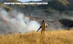 Bingöl’de orman yangını kontrol altına alındı: Soğutma çalışmaları sürüyor